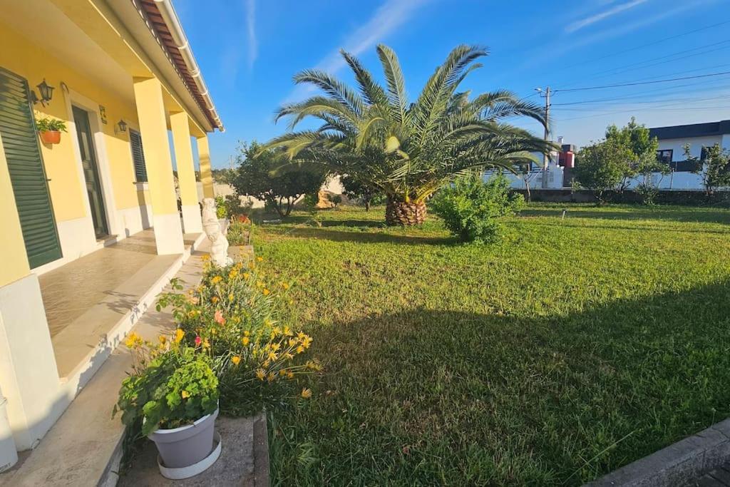 Quinta Marinhais Para Ferias No Ribatejo Екстер'єр фото