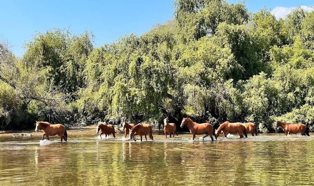 Quinta Marinhais Para Ferias No Ribatejo Екстер'єр фото